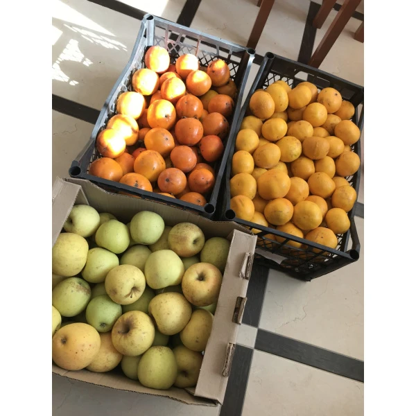 Local fruit, Sochi, 2019
