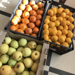 Local fruit, Sochi, 2019